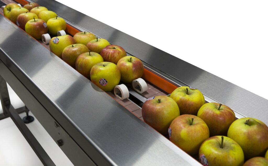 Apple on conveyor